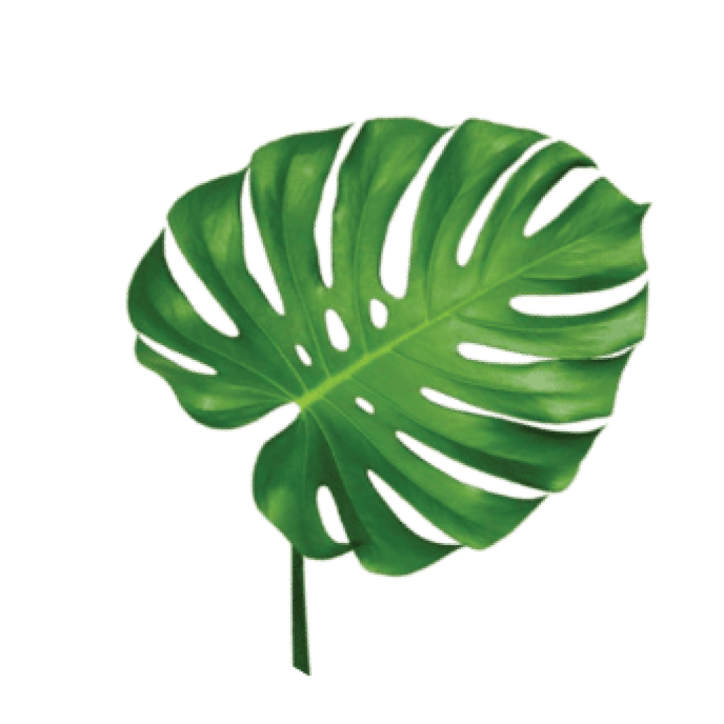 demo-attachment-97-leaf